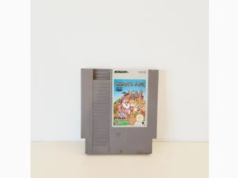 Noah’s Ark NES