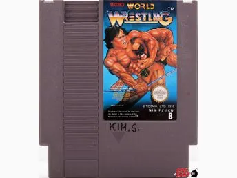 World Wrestling SCN