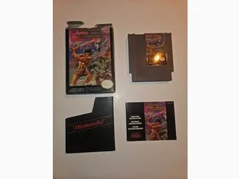 Wizards and Warriors NES