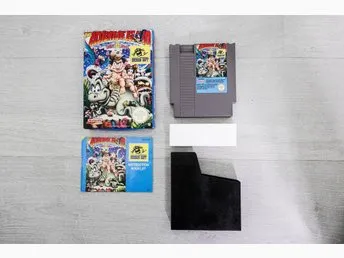 The Adventure Island Part II NES