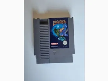 Solstice: The Quest for the Staff of Demnos (NES)