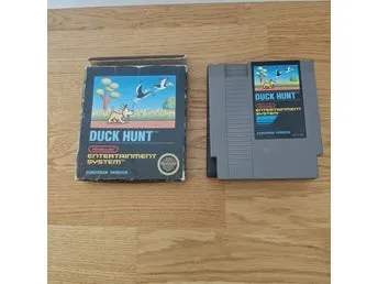 Duck Hunt