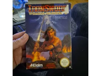 Ironsword: Wizards & Warriors II